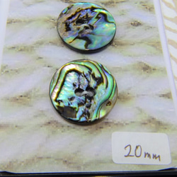 天然パウア貝ボタン　ニュージーランド産　20ミリ×3コセット 4枚目の画像