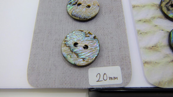 天然パウア貝ボタン　ニュージーランド産　20ミリ×3コセット 5枚目の画像