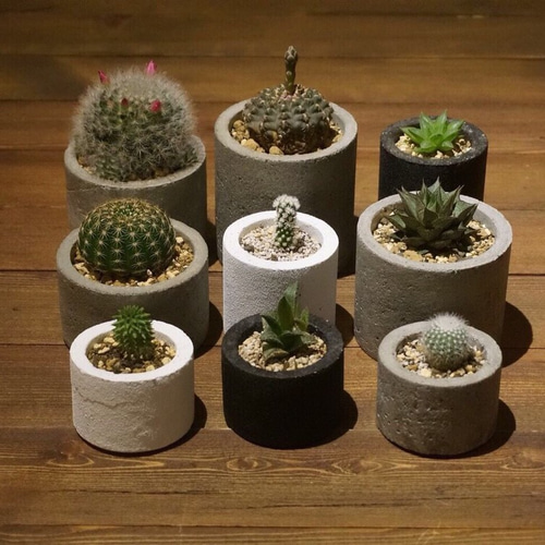 高さ約22cmサボテン セメント鉢付はつきません Amazon.co.jp: 観葉植物鉢 サボテン鉢 底穴ある 22*22CM 大きい