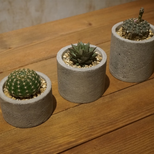 Amazon.co.jp: 植木鉢コンクリートのモダンなデザインの盆栽