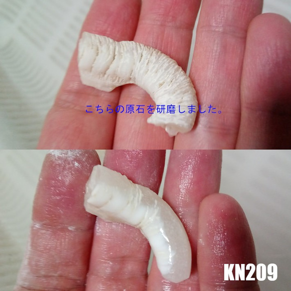 ★超レア★ケオン 原石研磨 牙型 勾玉 ネックレス  KN-209 7枚目の画像