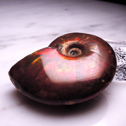 再販】☆虹色の遊色☆アンモナイト化石 マダガスカル産 AM-28 天然石