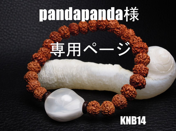 pandapanda様専用ページ 1枚目の画像