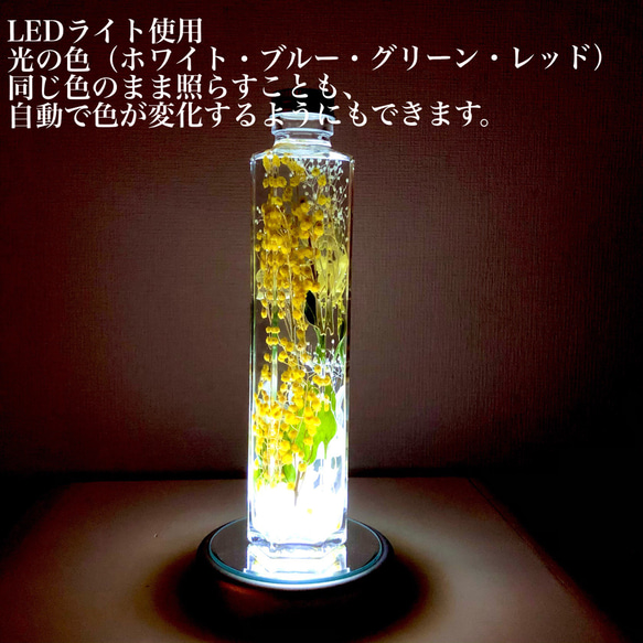 六角ロング瓶/ミモザハーバリウム 10枚目の画像