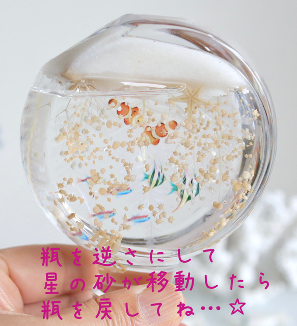 星の砂降る熱帯魚インテリア（まるガラス瓶Mサイズ） 3枚目の画像
