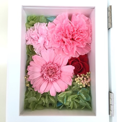 《再々販》Pink Carnationフォトフレーム 1枚目の画像