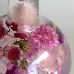 《再販》ピンクのマーガレットハーバリウム 3枚目の画像