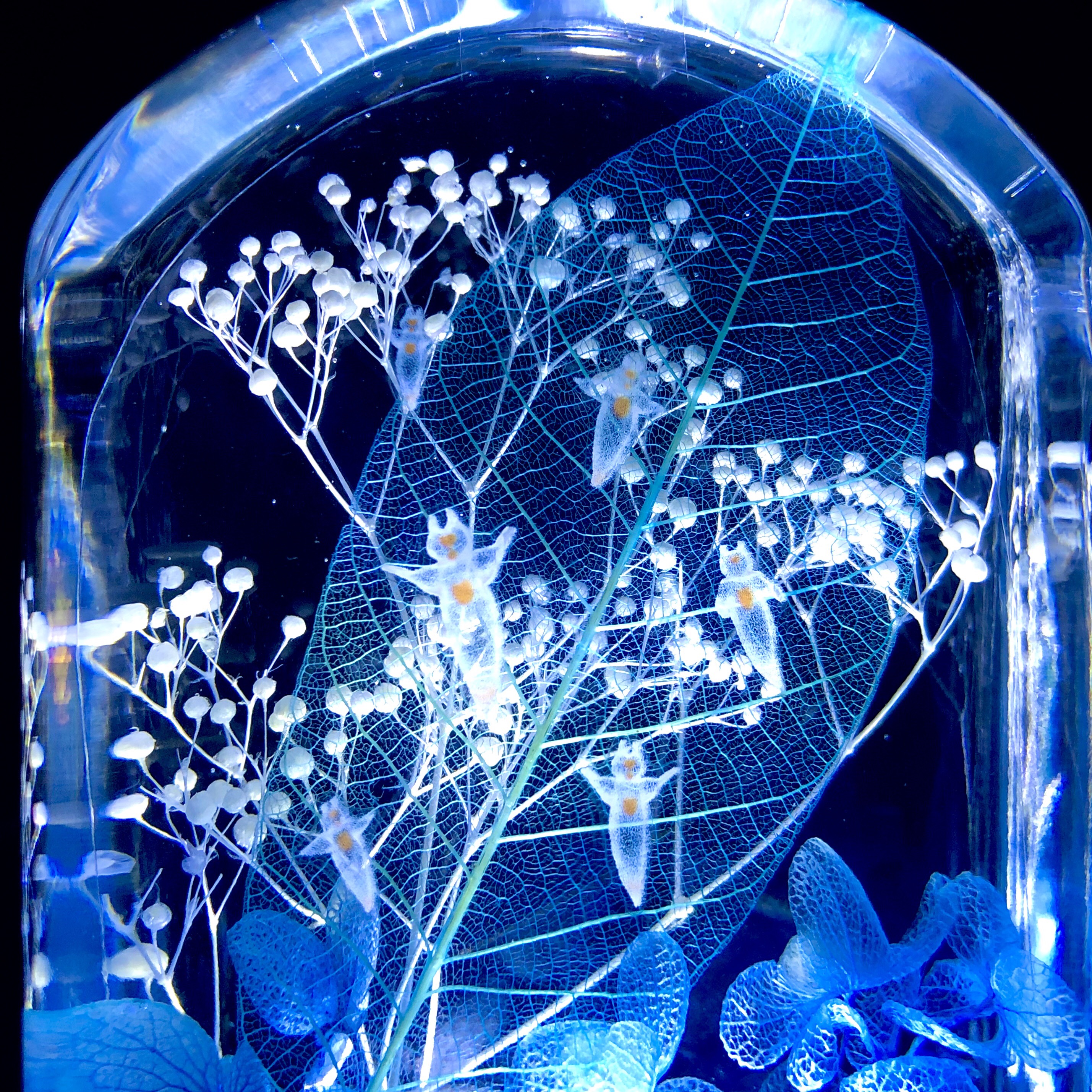 癒しのクリオネ泳ぐ氷の海ハーバリウム＊LEDライト付き（無料ギフト