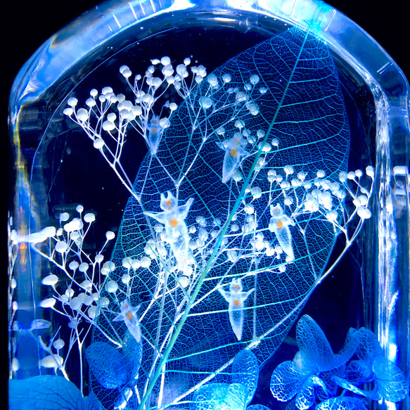 癒しのクリオネ泳ぐ氷の海ハーバリウム＊LEDライト付き（無料ギフトラッピング） 1枚目の画像