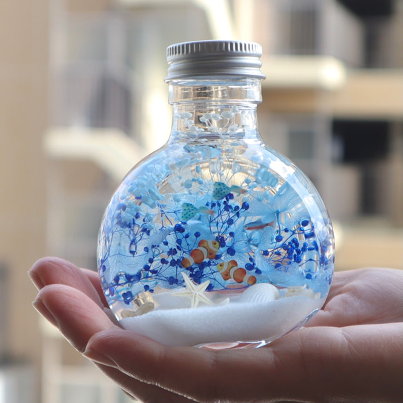 ちびまる熱帯魚のインテリアハーバリウム（無料ギフトラッピング） 1枚目の画像