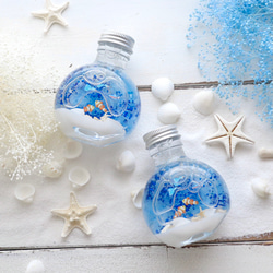 ちびまる熱帯魚のインテリアハーバリウム（無料ギフトラッピング） 7枚目の画像