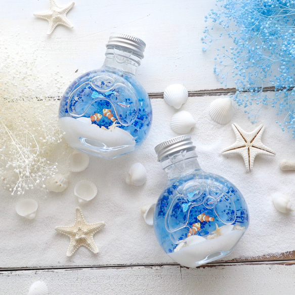 ちびまる熱帯魚のインテリアハーバリウム（無料ギフトラッピング） 7枚目の画像