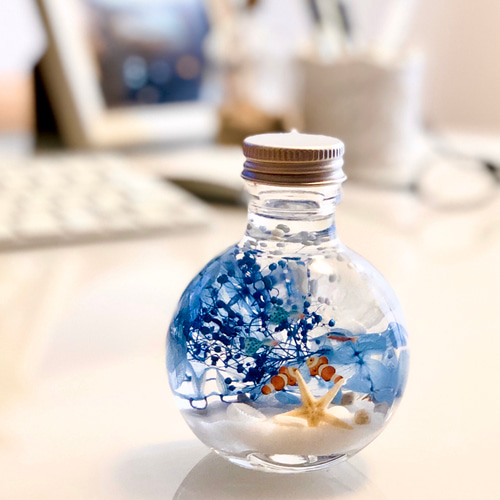 ちびまる熱帯魚のインテリアハーバリウム（無料ギフトラッピング
