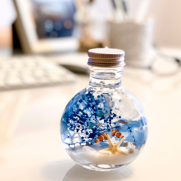 ちびまる熱帯魚のインテリアハーバリウム（無料ギフトラッピング） 3枚目の画像