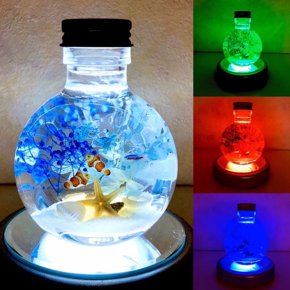 ちびまる熱帯魚のインテリアハーバリウム（無料ギフトラッピング） 13枚目の画像