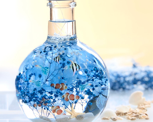 琉球*海のたねゴアナクローハーバリウム