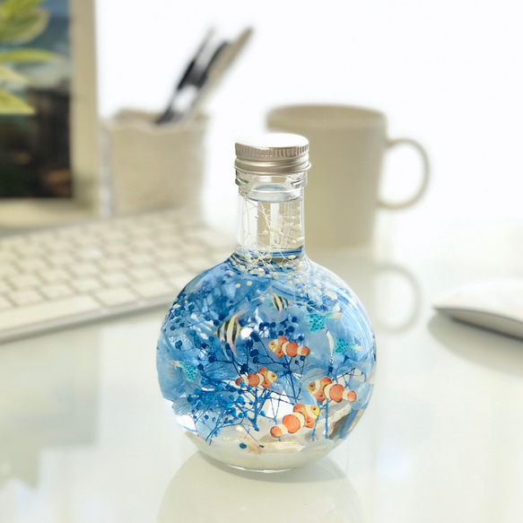 与論島のPoisson clown 大きな海の世界＊癒しの熱帯魚ハーバリウム（無料ギフトラッピング） 3枚目の画像