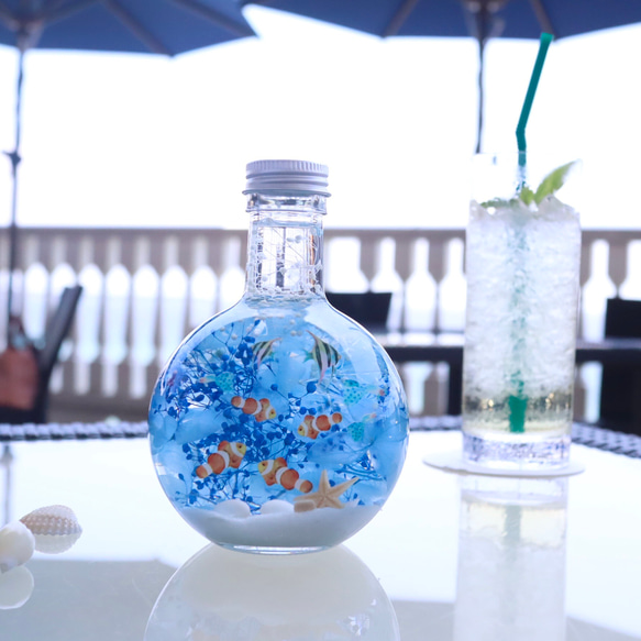 与論島のPoisson clown 大きな海の世界＊癒しの熱帯魚ハーバリウム（無料ギフトラッピング） 4枚目の画像