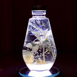 White ocean未知の海ボトルしずく＆LEDライトセット 1枚目の画像