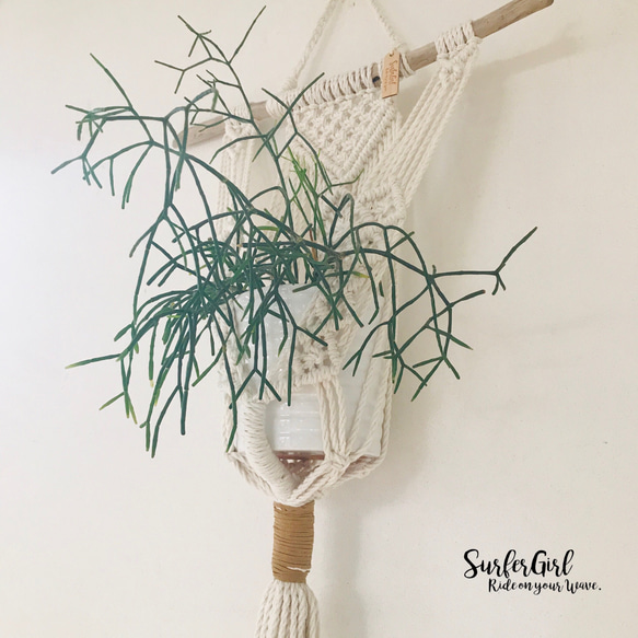 Macrame Plant Hanger マクラメプラントハンガー 5枚目の画像