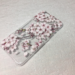 【iPhone各種】桜【透明ハードタイプ】 5枚目の画像