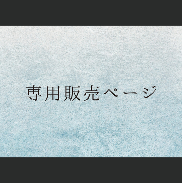 専用販売ページ 1枚目の画像