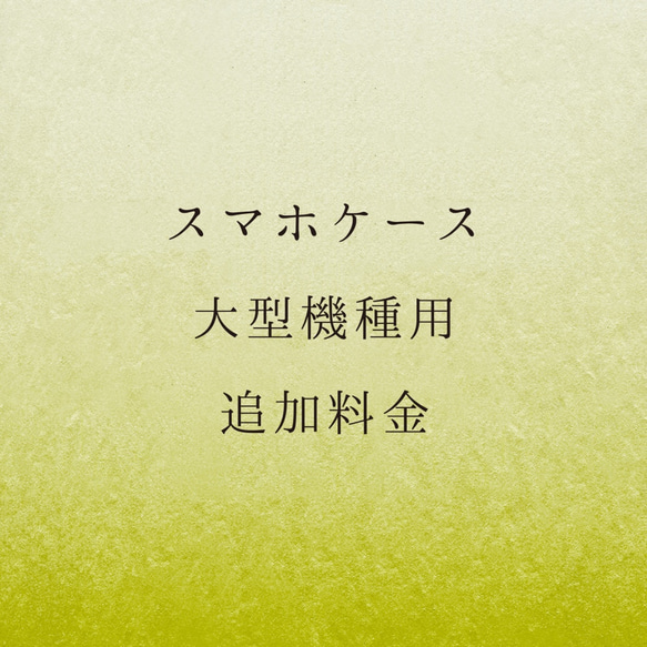 スマホケース【大型機種】追加料金 1枚目の画像