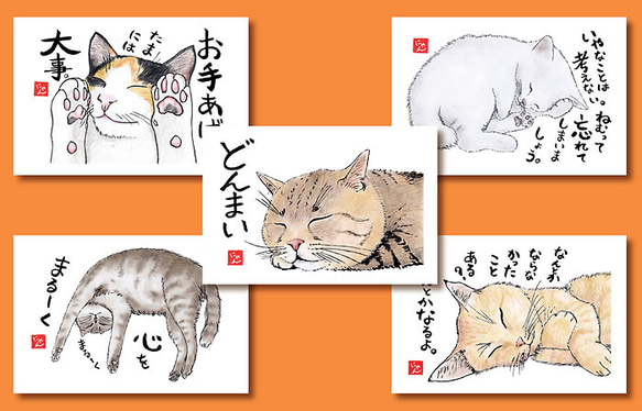 ねことば」ポストカード 5枚組 B ポストカード Hick 通販