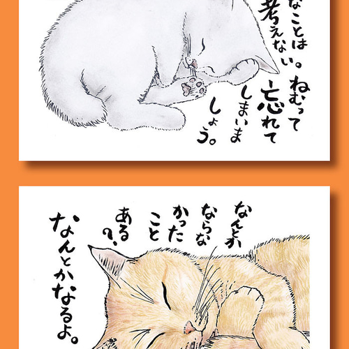 猫の身分証明書とポストカード　なめんなよ　ゴールド　(金) 猫の身分証明書とポストカード なめんなよ ゴールド (金) なめんなよ