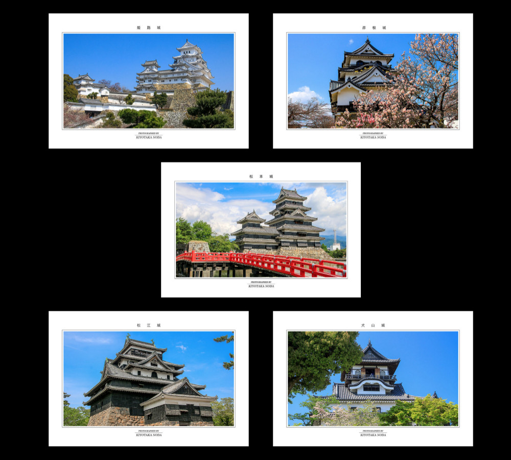 非売品　碧雲荘ポストカード　５枚 福ちゃんポストカード(5枚組） | 片目のサラブレッド福ちゃん