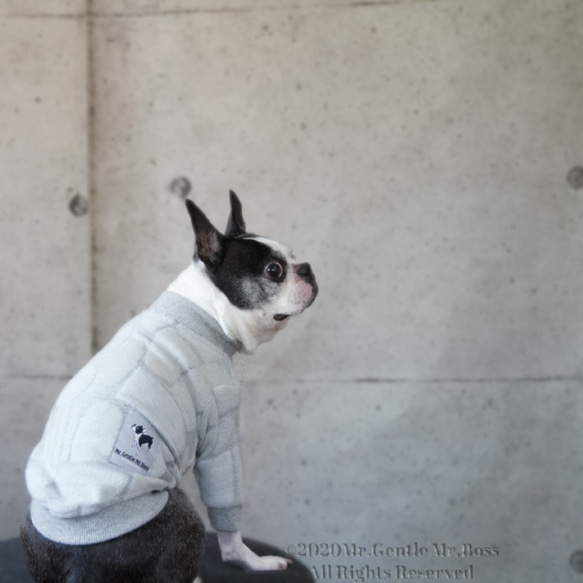 幾何学模様Pullover (Spring Item)Grey☆犬服☆ 1枚目の画像