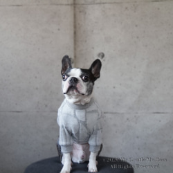 幾何学模様Pullover (Spring Item)Grey☆犬服☆ 2枚目の画像