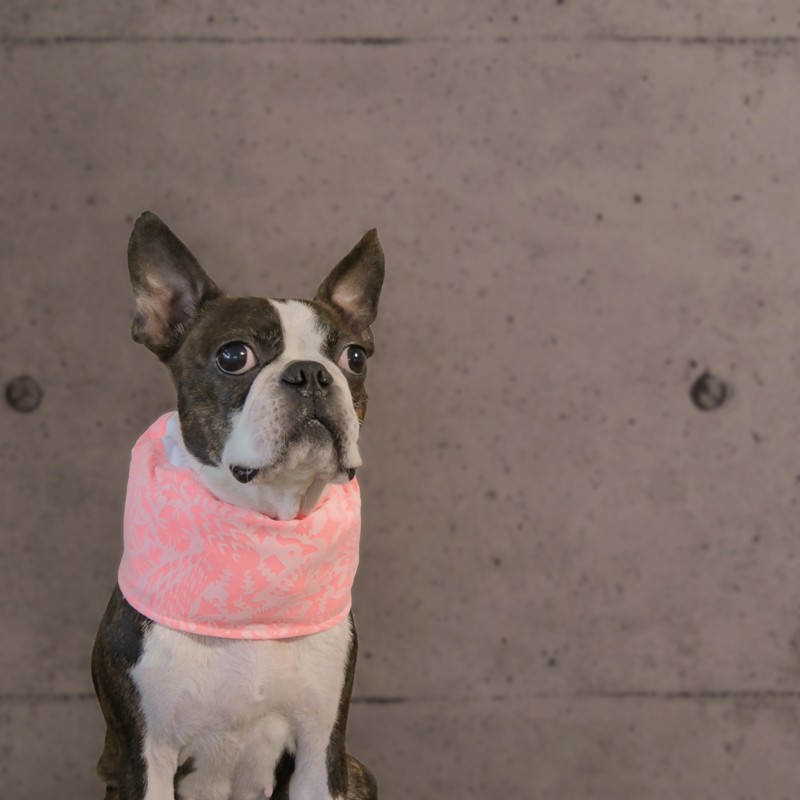 クールスヌード  SEK認証ー抗菌防臭加工 ピンク シャングリラ柄《保冷剤を入れるタイプ》　クールネック