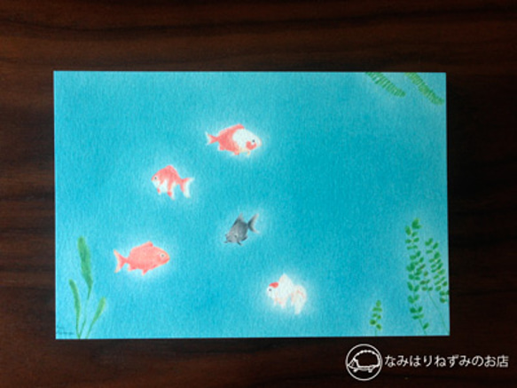 金魚　ポストカード４枚 1枚目の画像