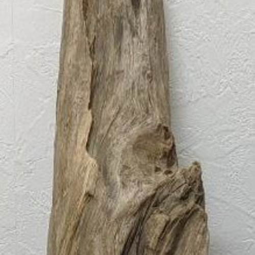 流木インテリアNO.67 その他インテリア雑貨 emple 通販 8201321