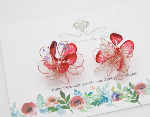 璀璨夏日花火(紅）red 第1張的照片