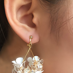 懸垂憐愛彩白花（白white）一對 第4張的照片