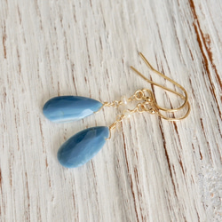 ほんものの蝉の翅】【オーダーメイド】セミのピアス イヤリング