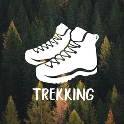 カーステッカー＜TREKKING＞ 1枚目の画像