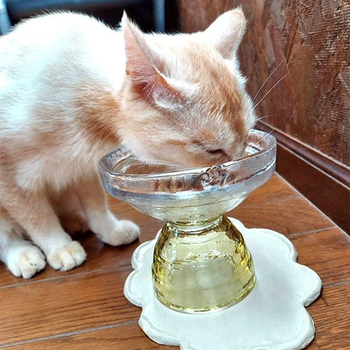 Re:GLASS.猫ごはん 猫 フードボウル LOWタイプ セピア 猫用食器 ガラス
