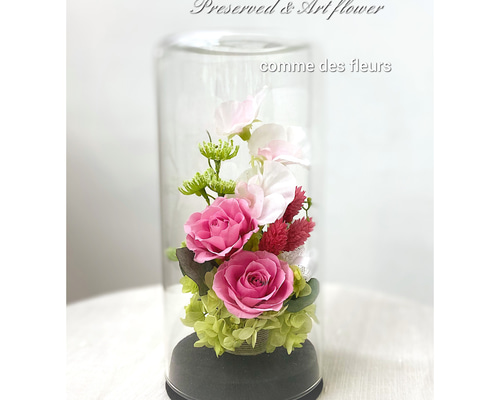 0_c9eb315deec26fa84a668e681aa1