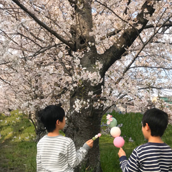 大きな三色だんご＊Sakura Lサイズ 3枚目の画像