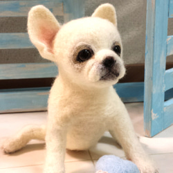 フレンチブルドッグ 羊毛フェルト 仔犬 パピー 癒し犬 ナチュラル