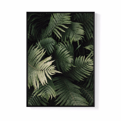 菠蘿選畫所 – 森森之意  42x60cm(A2)  北歐/ 插畫/ 攝影/ 裝飾畫/ 複製畫/ painting 第1張的照片