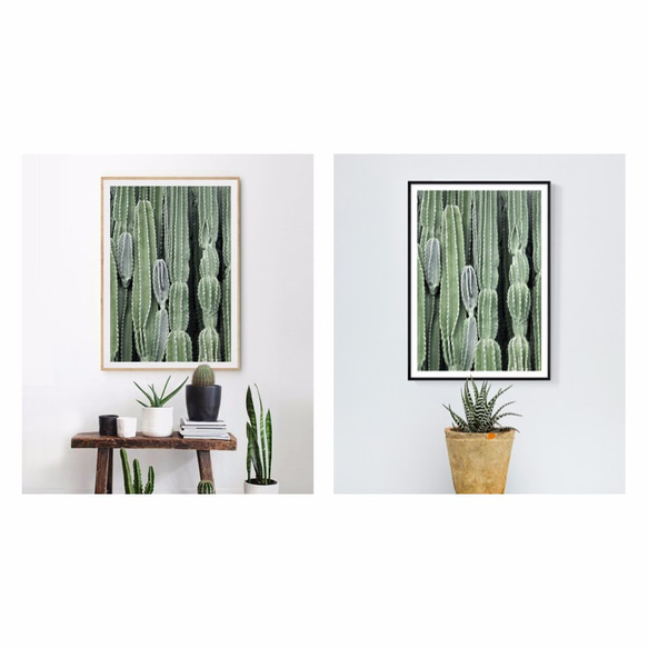 パイナップル絵画セレクション – 多肉植物の群生 小さな新緑 II 42x60cm (A2) 北欧/写真/装飾画/複製画/絵画 2枚目の画像