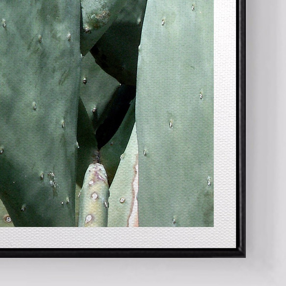 パイナップル絵画セレクション – 多肉植物の群生 小さな新緑 II 42x60cm (A2) 北欧/写真/装飾画/複製画/絵画 5枚目の画像