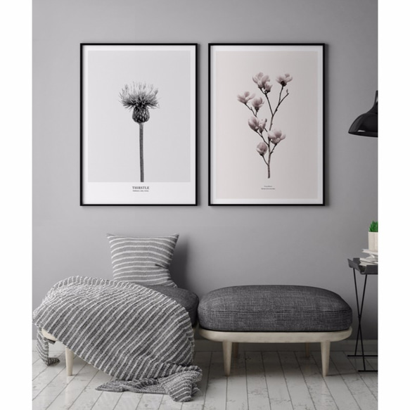 菠蘿選畫所 – 綻放 • 木蘭花 42x60cm北歐/插畫/攝影/客廳掛畫/複製畫 第4張的照片