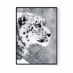 パイナップル絵画セレクション – Persistence-Snow Leopard 42x60cm (A2) 北欧/イラスト/写 1枚目の画像