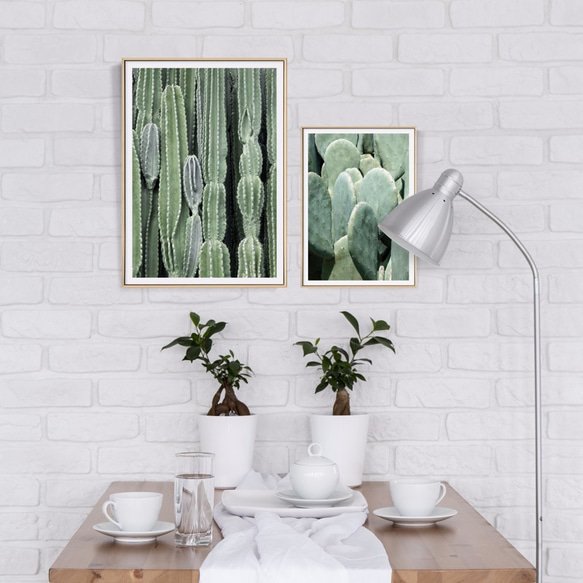 パイナップル絵画セレクション – 多肉植物の房 小さな新緑 I 30x40cm 北欧/写真/装飾画/複製画/絵画 5枚目の画像