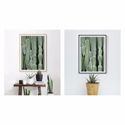パイナップル絵画セレクション – 多肉植物の房 小さな新緑 II 30x40cm 北欧/写真/装飾画/複製画/絵画 2枚目の画像